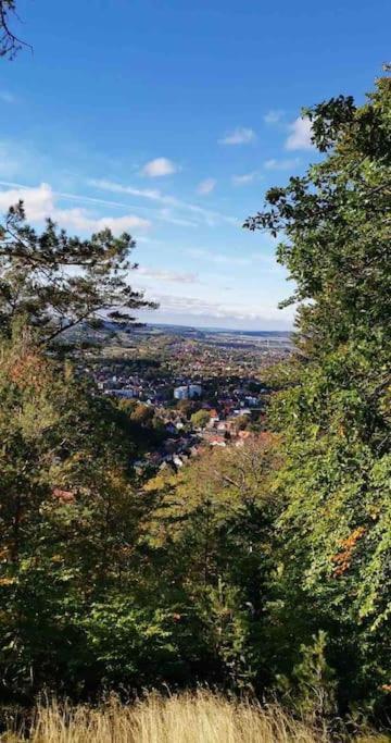 Ferienwohnung Am Burgberg In Bad Harzburg Eksteriør bilde